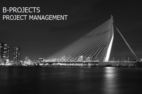 B-Projects - project management
